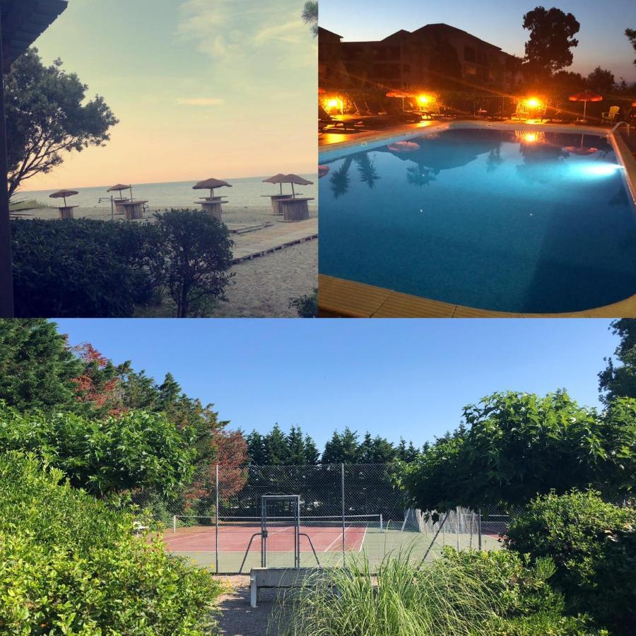 Joli T2 les pieds dans l’eau , piscine tennis.... San-Nicolao Extérieur photo